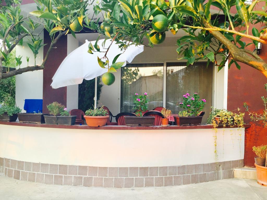 Apartments Flamingo Ülgün Dış mekan fotoğraf