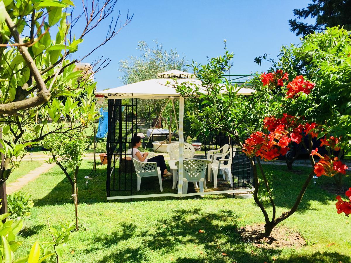Apartments Flamingo Ülgün Dış mekan fotoğraf