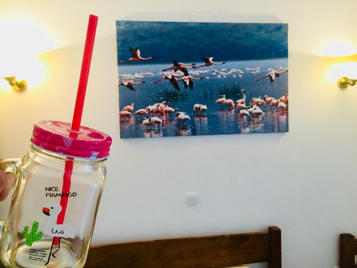 Apartments Flamingo Ülgün Dış mekan fotoğraf